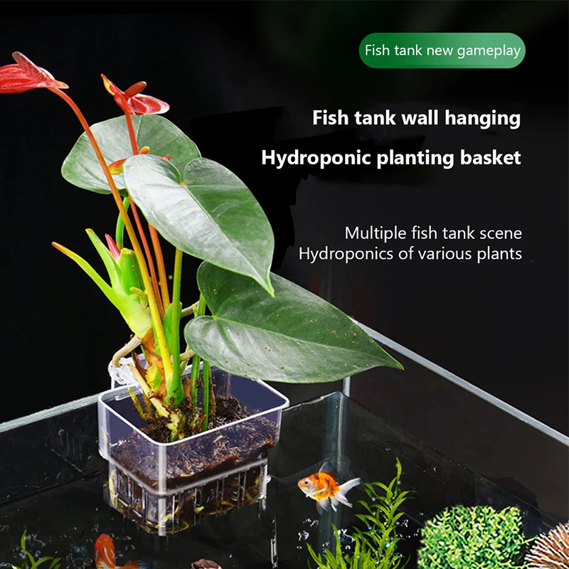 Aquarium Planted Wall - 新しい【吊り下げ式水槽プランターカップ壁掛け水生植物ホルダー水槽プランターバスケット水槽植物ポット水槽】