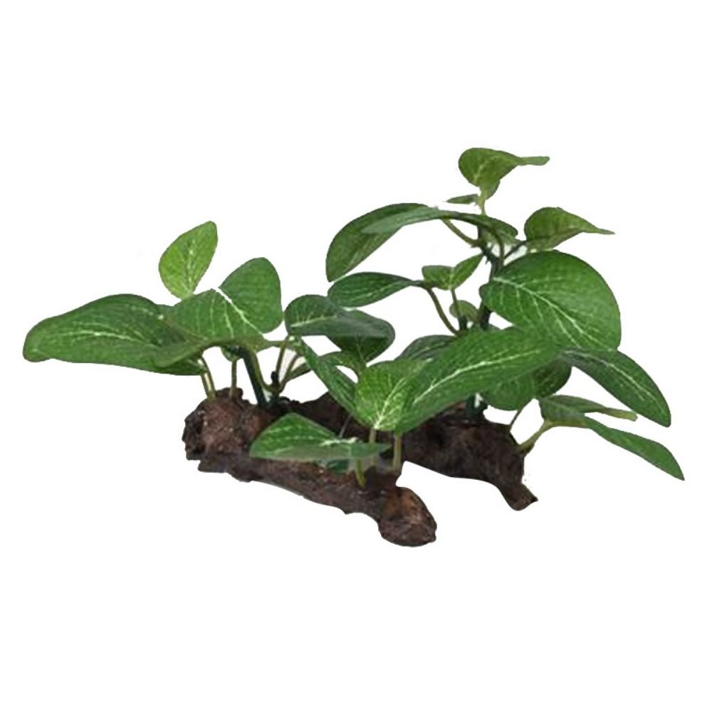 Planted Aquarium Jar - 創造的なプラスチック製水槽装飾水中リアルな人工植物フィカスツリー水槽植物カメ用飾り