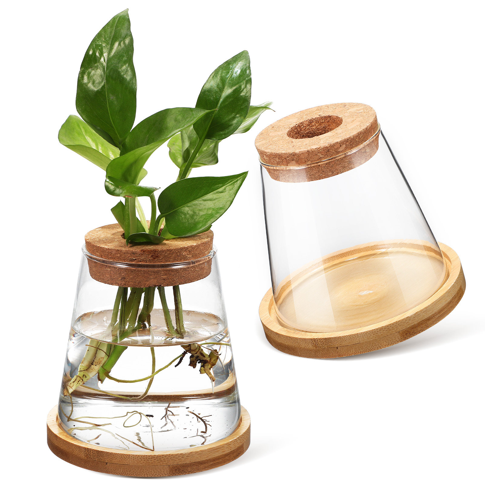 Planted Aquarium Jar - 2個入り ウォータープランター ガラス繁殖ステーション 水耕栽培植物用ジャー クリア 330ml