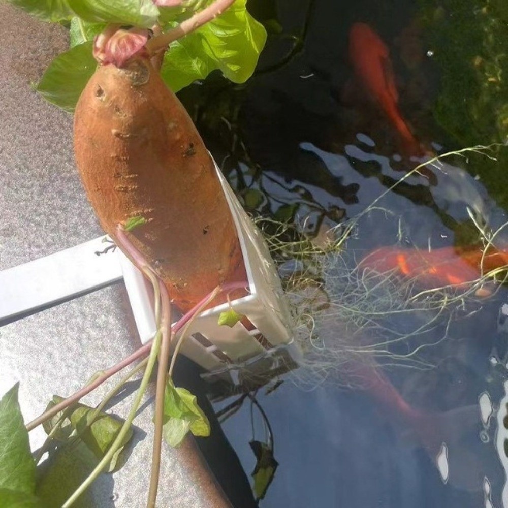 Aquarium Planted Wall - 壁掛け水槽用植物バスケット プラスチック水耕栽培プランター 水耕栽培ハンギングプランター プランターコンテナ 自動給水