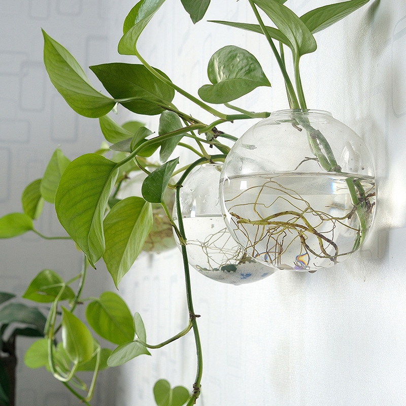 Aquarium Planted Wall - 壁掛けアクリル水槽プレキシガラス水槽花瓶フラワーオーナメントクリア水槽ホームデコレーション植物水槽ペット用