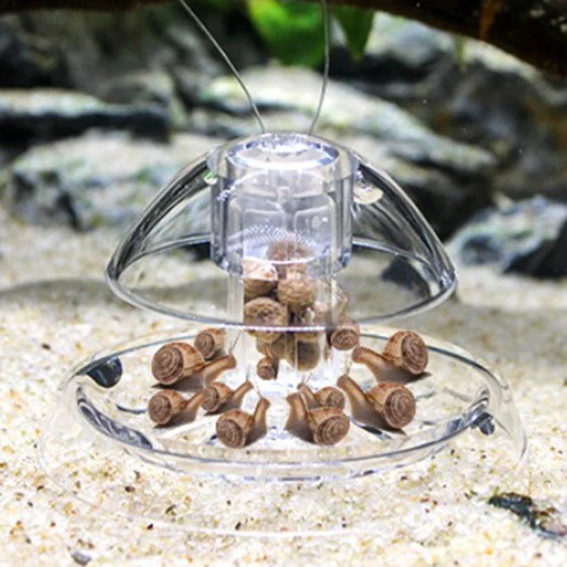 Planted Aquarium Maintenance Kit - 水槽用カタツムリ＆害虫トラップ – プラナリア、ヒル、藻類の掃除用プラスチック製キャッチボックス
