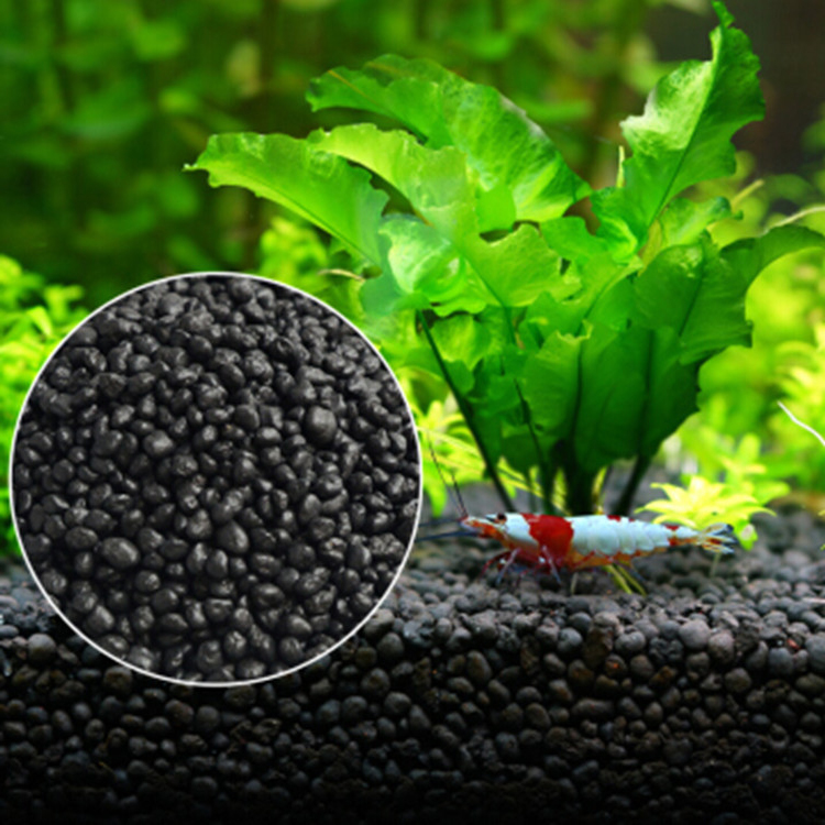 Planted Aquarium Freshwater - 水族館植物の種子,水槽の素材,砂,土壌肥料,魚の手入れ,淡水水族館の付属品