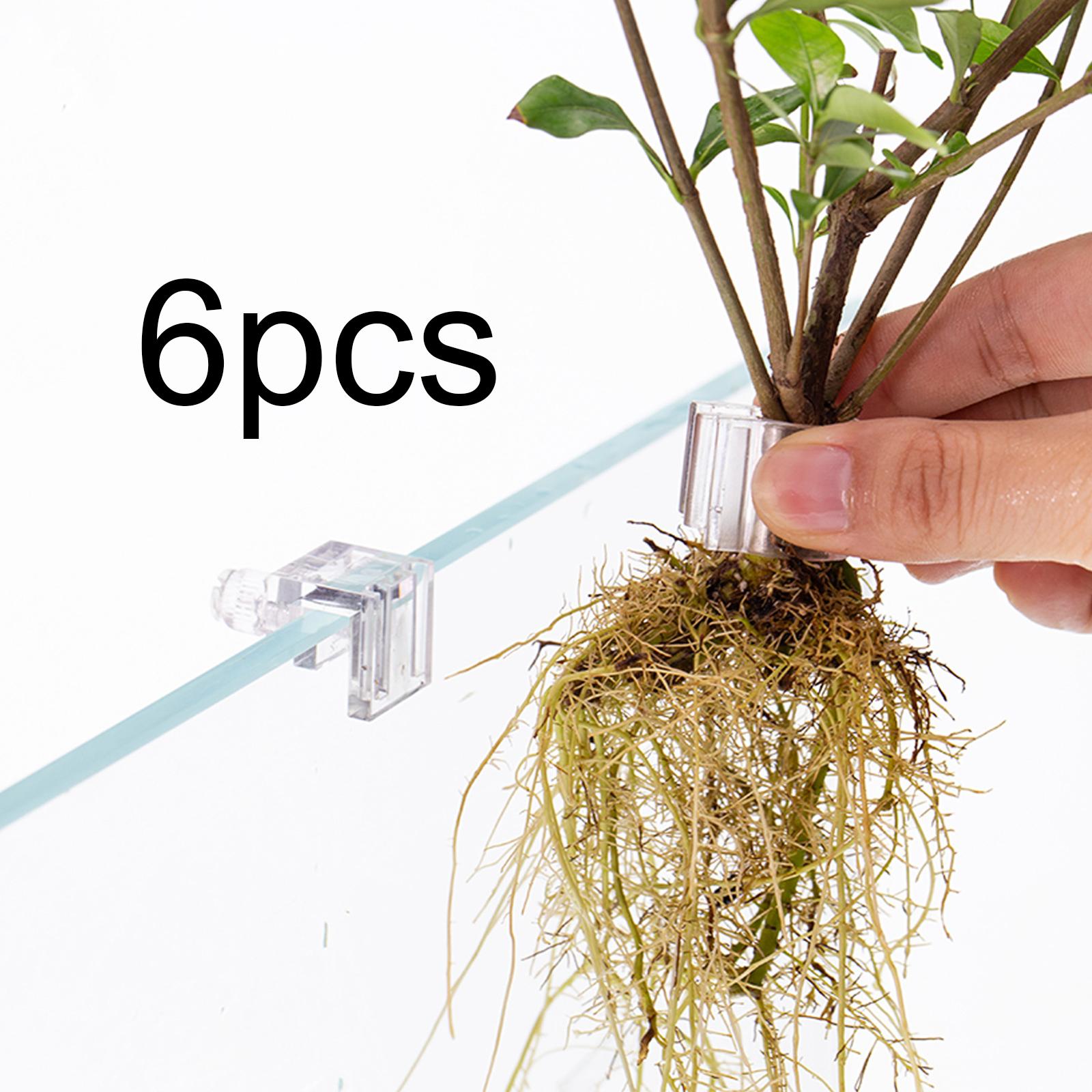 Aquarium Planted Wall - 耐久性のある透明な水槽壁掛け植物ホルダー、水生植物用PCカップ、コンプリートセット