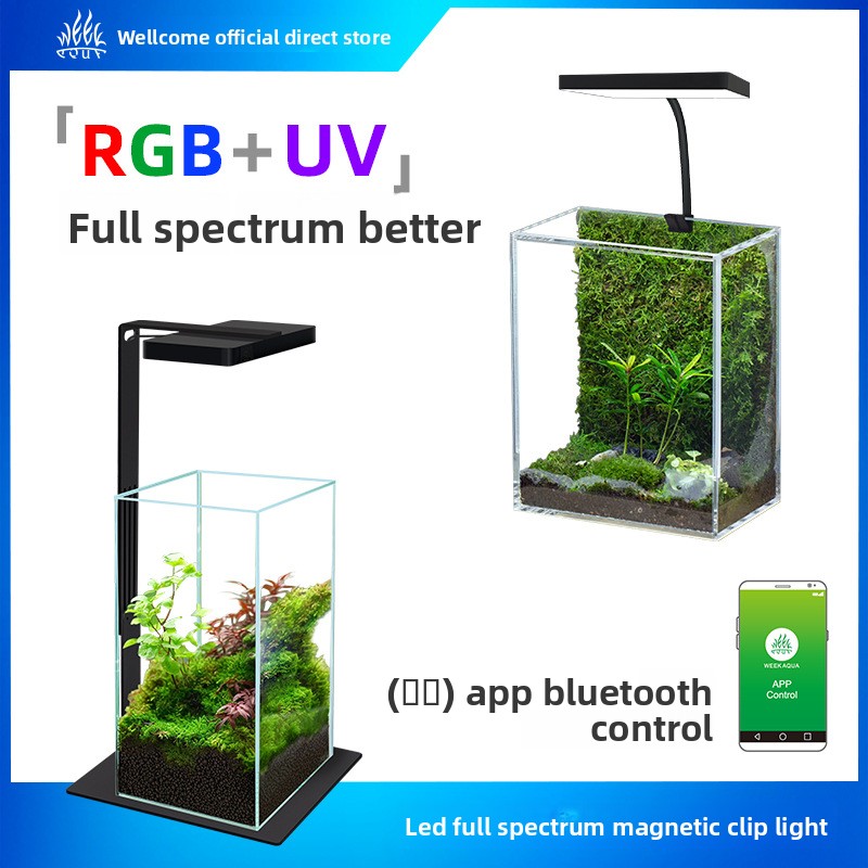 Planted Aquarium Jar - Week Aqua Mini9Pro マグネット式クランプLED水槽ライト＆RGB+UVフルスペクトル - ナノ水槽、モサリウム、水草水槽＆マイクロランドスケープ用