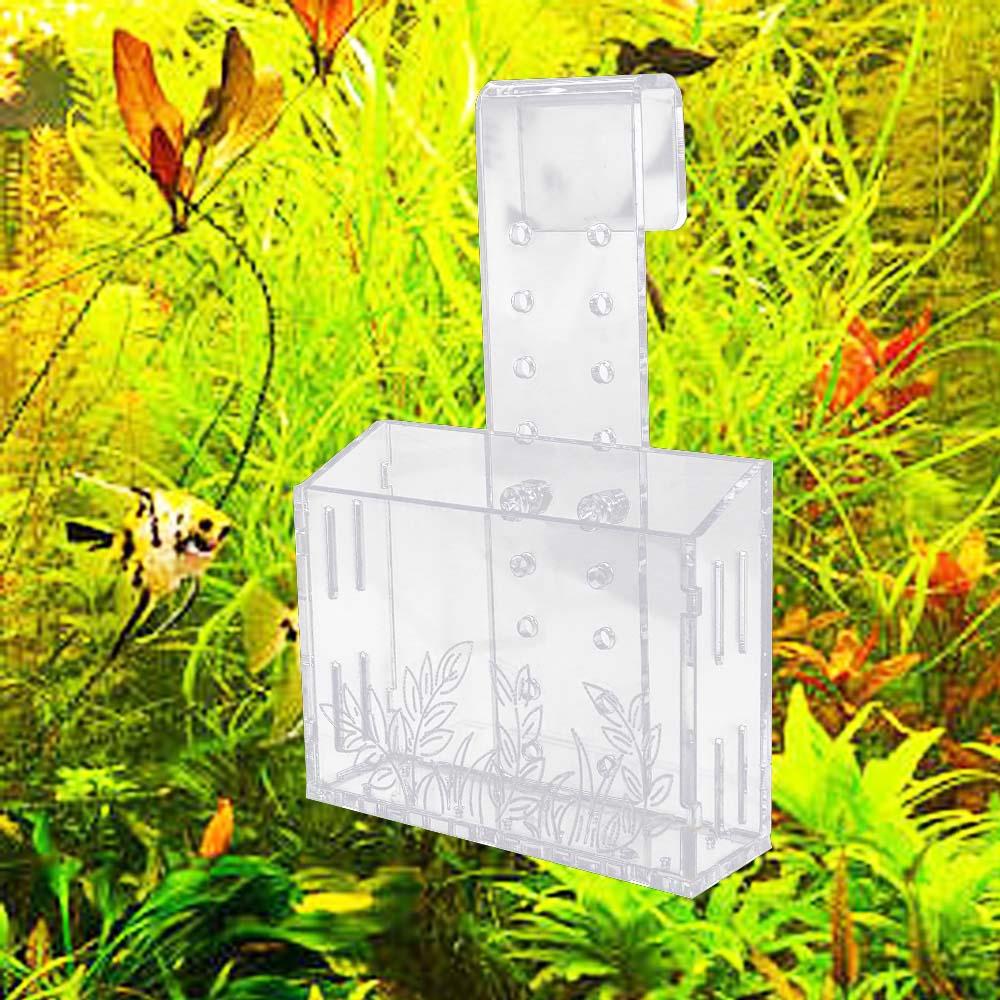 壁掛け水槽植物カップ 透明フローティング水生プランターホルダ - Aquarium Planted Wall のレビューと価格