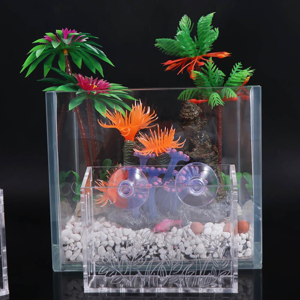 壁掛け水槽植物カップ 透明フローティング水生プランターホルダ - Aquarium Planted Wall のレビューと価格