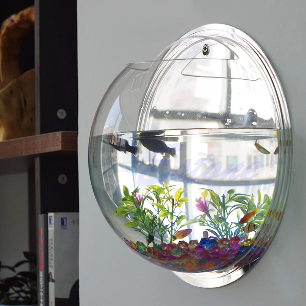 壁掛けアクリル水槽 透明 吊り下げ式水槽 壁掛け水槽 植木鉢 - Aquarium Planted Wall のレビューと価格