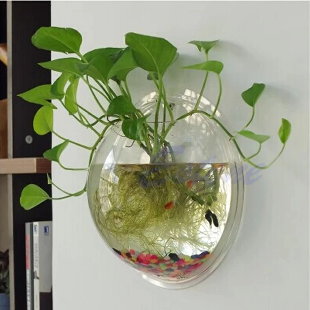 壁掛けアクリル水槽 透明 吊り下げ式水槽 壁掛け水槽 植木鉢 - Aquarium Planted Wall のレビューと価格