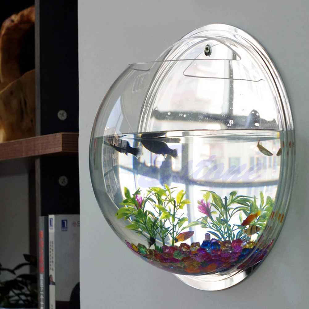 壁掛けアクリル水槽 透明 吊り下げ式水槽 壁掛け水槽 植木鉢 - Aquarium Planted Wall のレビューと価格