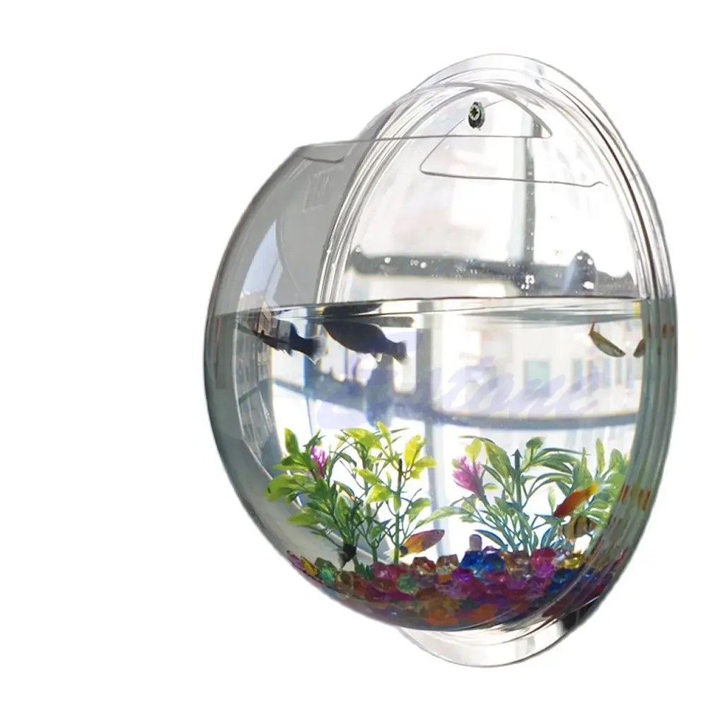 壁掛けアクリル水槽 透明 吊り下げ式水槽 壁掛け水槽 植木鉢 - Aquarium Planted Wall のレビューと価格