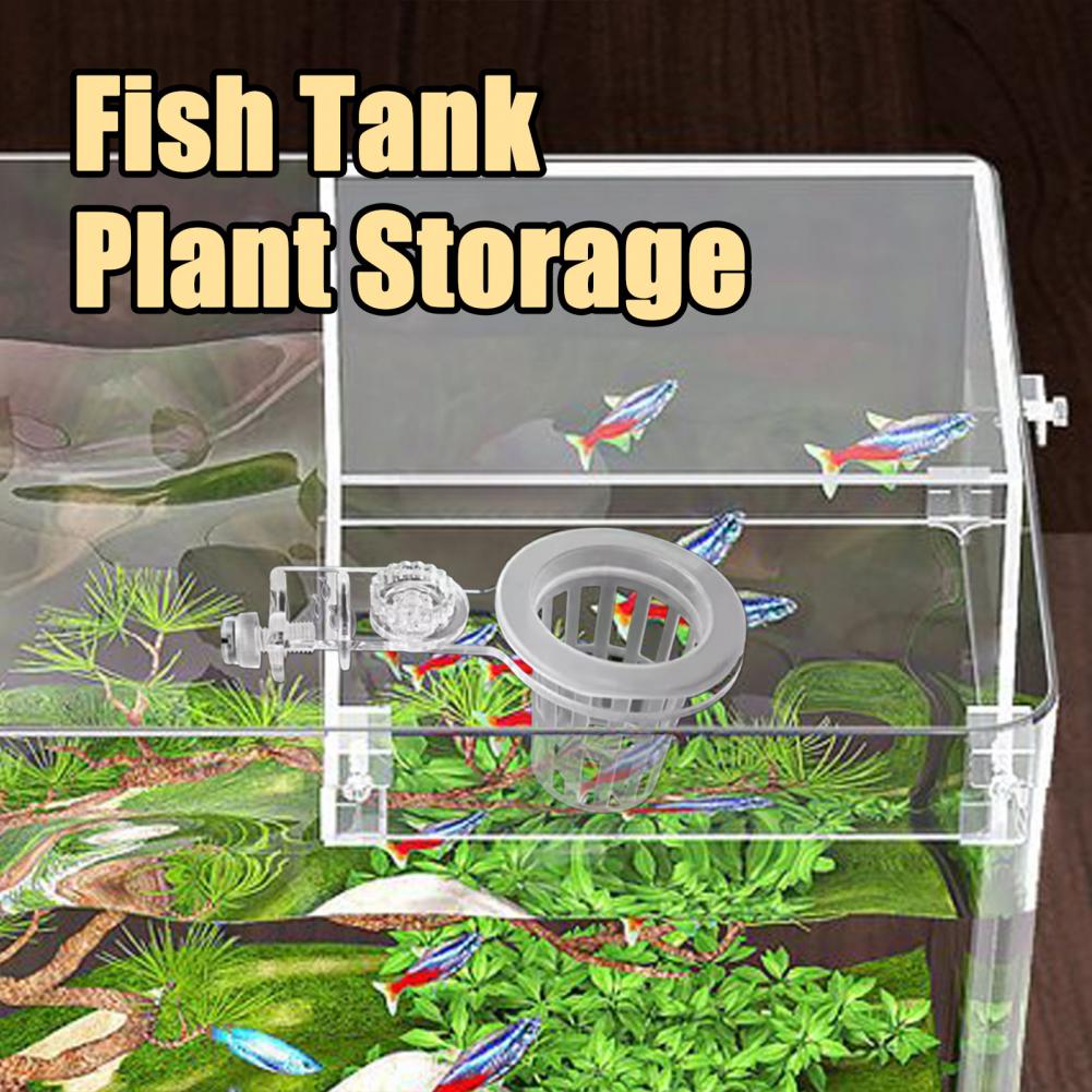水族館植物ホルダー壁掛け水耕植物バスケット水草植栽スタンド水 - Aquarium Planted Wall のレビューと価格