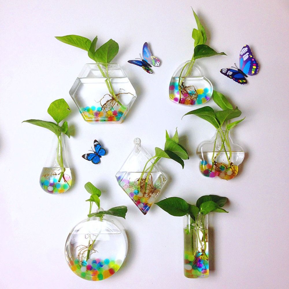 円錐形の壁掛け花瓶 透明な水槽 壁掛けプランター 植物ホルダ - Aquarium Planted Wall のレビューと価格