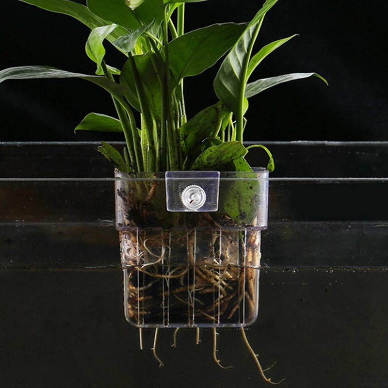 新しい【吊り下げ式水槽プランターカップ壁掛け水生植物ホルダー - Aquarium Planted Wall のレビューと価格