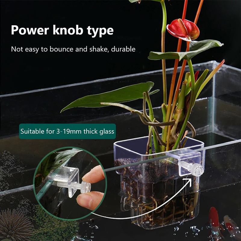 新しい【吊り下げ式水槽プランターカップ壁掛け水生植物ホルダー - Aquarium Planted Wall のレビューと価格