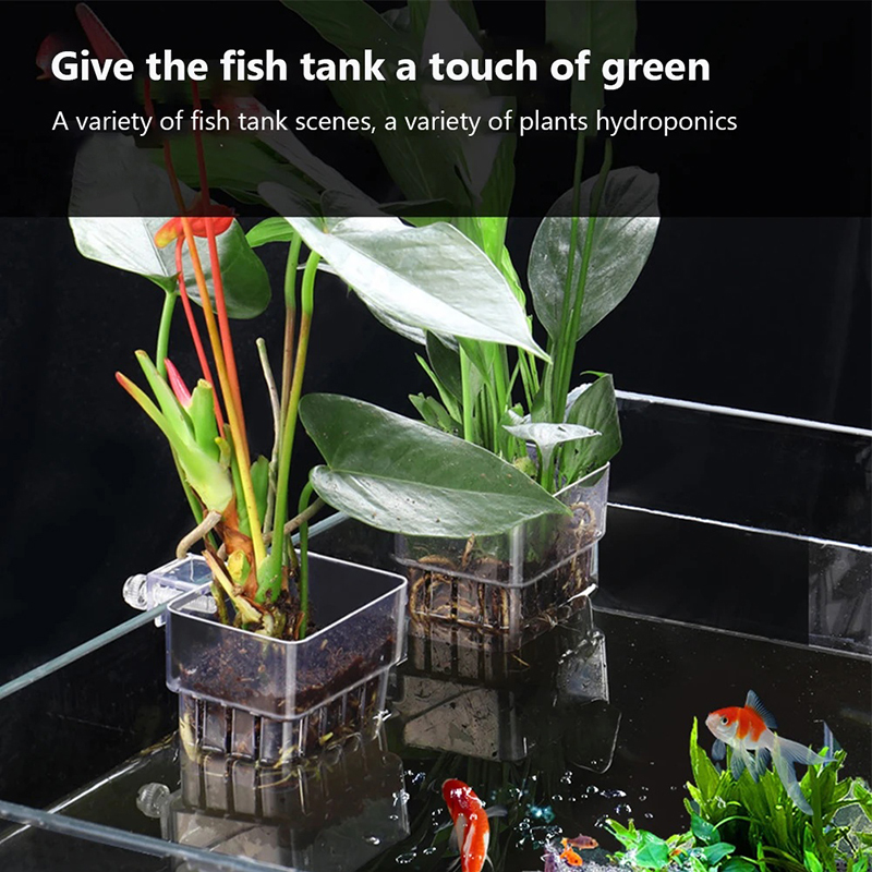 新しい【吊り下げ式水槽プランターカップ壁掛け水生植物ホルダー - Aquarium Planted Wall のレビューと価格