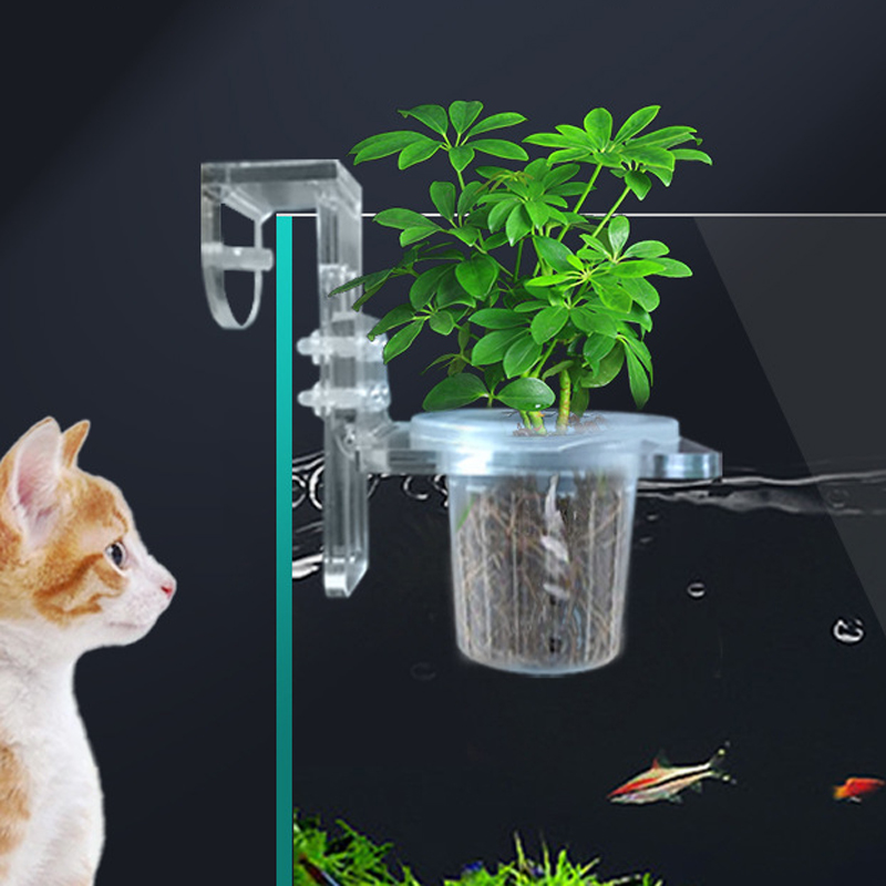 水槽植栽カップ水耕サポートバスケット水草水生植物ホルダー壁掛 - Aquarium Planted Wall のレビューと価格