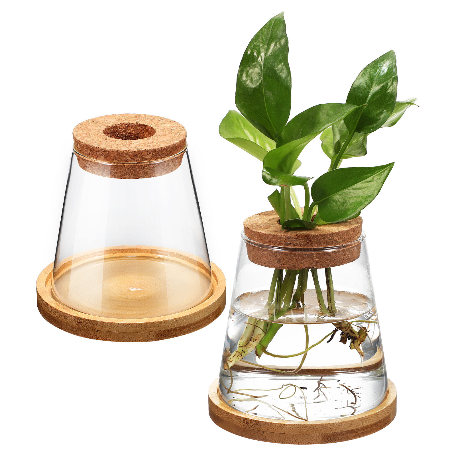 2個入り ウォータープランター ガラス繁殖ステーション 水耕 - Planted Aquarium Jar のレビューと価格