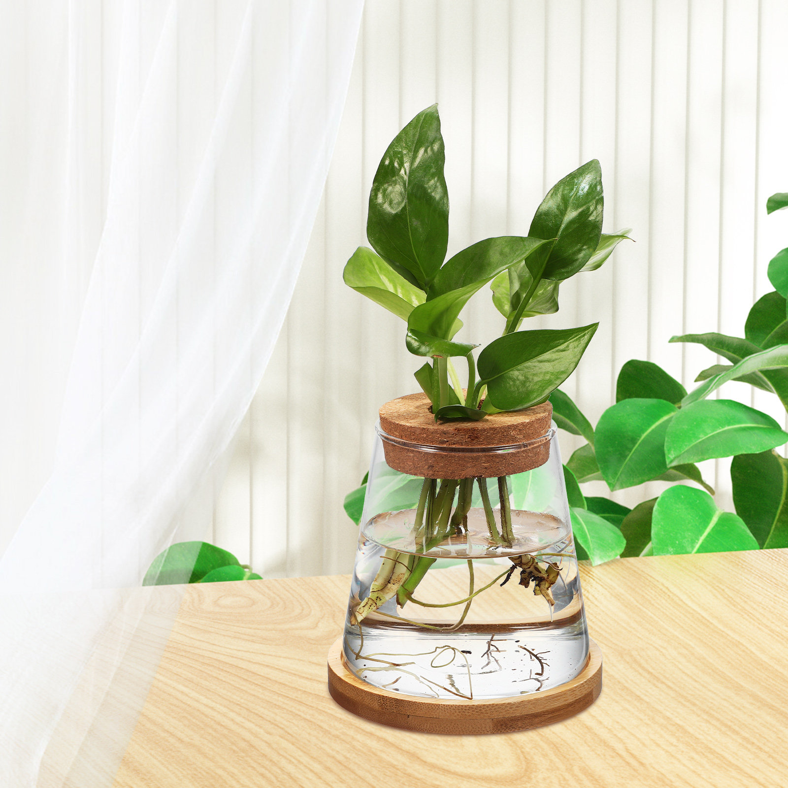 2個入り ウォータープランター ガラス繁殖ステーション 水耕 - Planted Aquarium Jar のレビューと価格