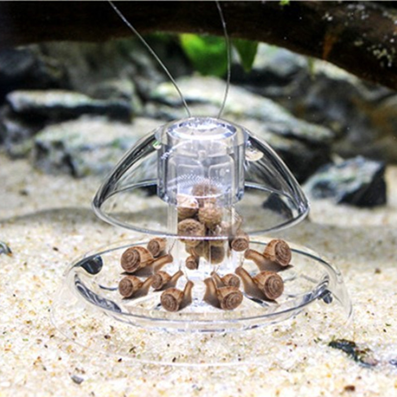 1 個水槽水族館クリーナーカタツムリトラップキャッチャー植物 - Planted Aquarium Tools のレビューと価格