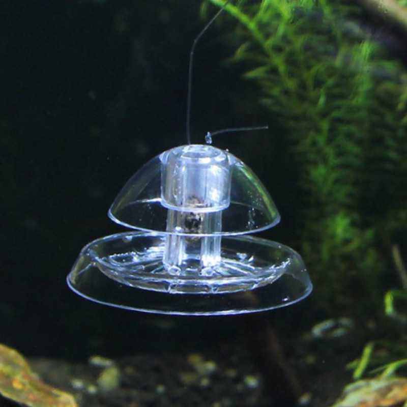 1 個水槽水族館クリーナーカタツムリトラップキャッチャー植物 - Planted Aquarium Tools のレビューと価格
