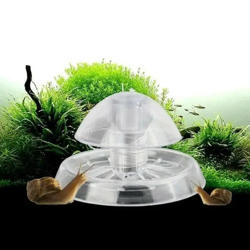 2026年新発売 6/8CM 透明プラスチック製カタツムリ捕 - Planted Aquarium Tools のレビューと価格