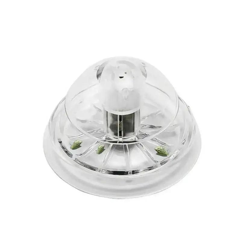 2026年新発売 6/8CM 透明プラスチック製カタツムリ捕 - Planted Aquarium Tools のレビューと価格