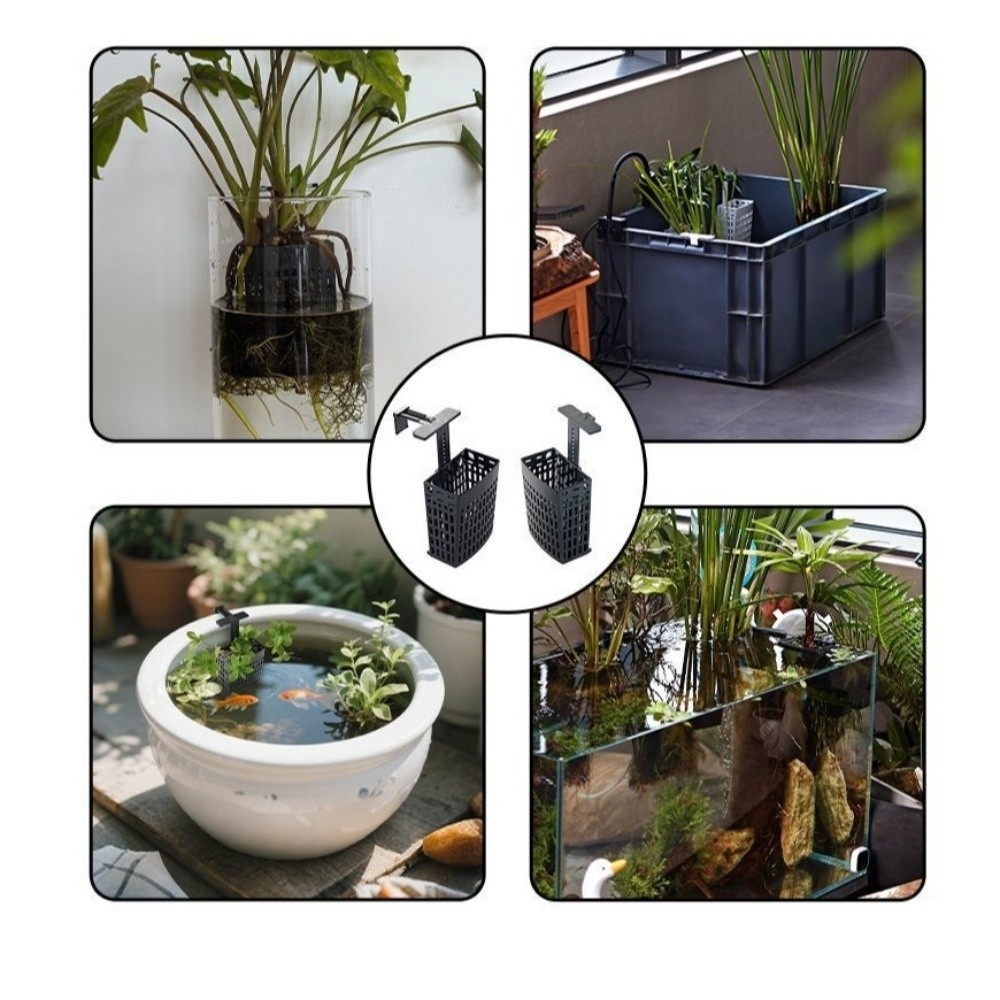 壁掛け水生植物ホルダー多用途拡張可能なフック水槽植物ホルダー - Aquarium Planted Wall のレビューと価格