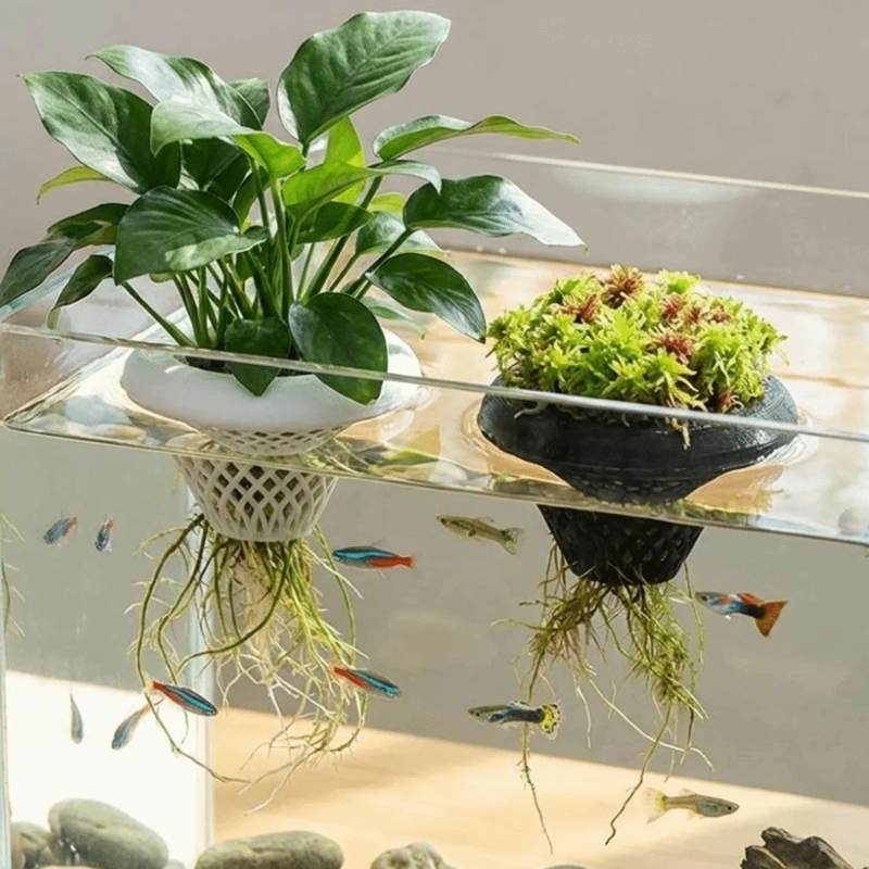 フローティングアクアリウムプラントポット、3D水生植物ホルダ - Planted Aquarium Jar のレビューと価格