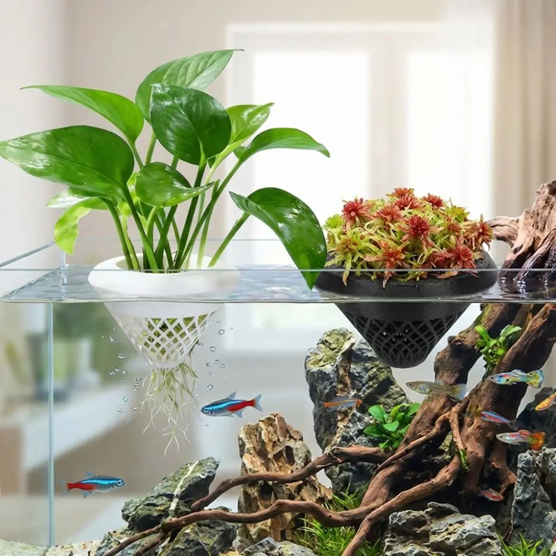 フローティングアクアリウムプラントポット、3D水生植物ホルダ - Planted Aquarium Jar のレビューと価格