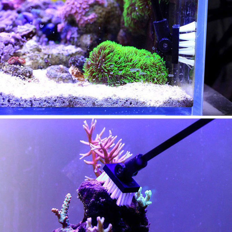 釣りクリーニングブラシ植物タンク新鮮な海水クリーニングツール - Planted Aquarium Freshwater のレビューと価格