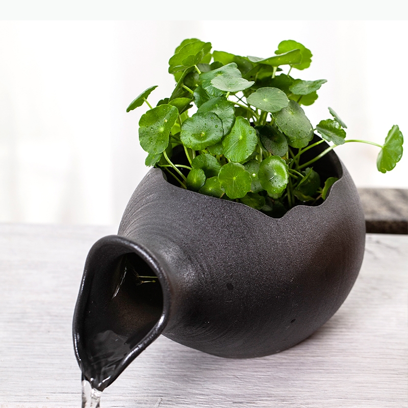 セラミック製の魚水槽、養殖用セラミックジャー、循環水装飾、植 - Planted Aquarium Jar のレビューと価格