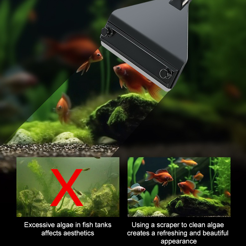水族館藻類除去剤アルミ合金ステンレス鋼スクレーパーブレード水 - Planted Aquarium Algae Remover のレビューと価格