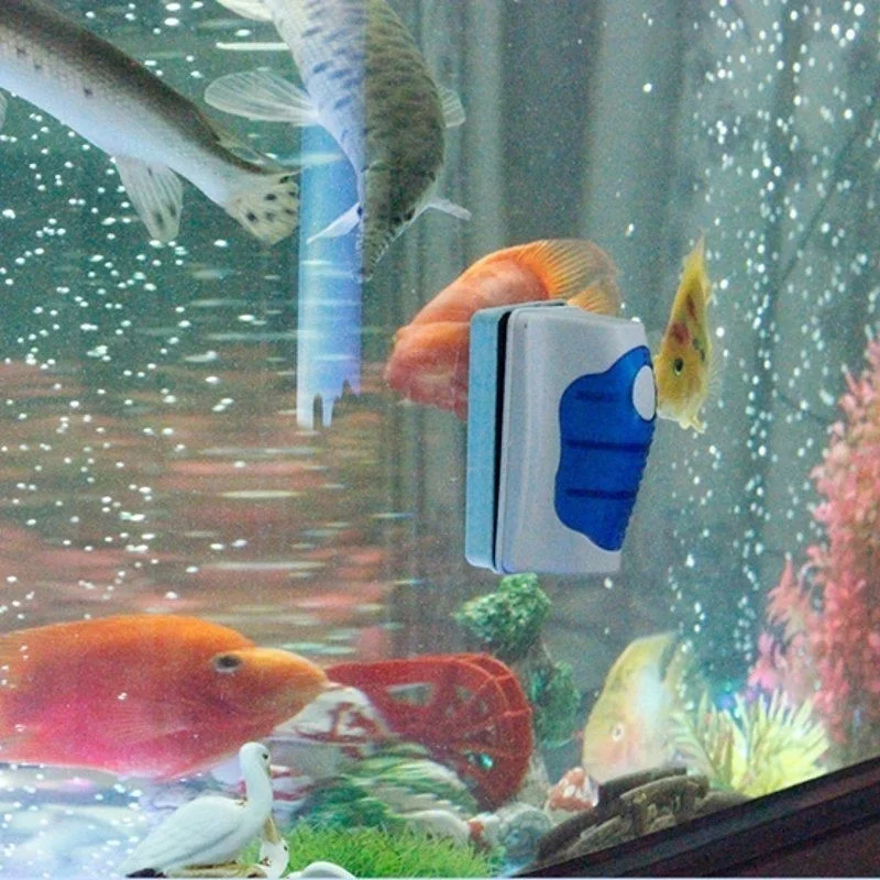 水族館用の超磁性ガラススクレーパー,洗浄ブラシ - Planted Aquarium Tools のレビューと価格