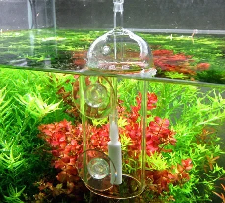 Viv do-魚や植物用の溶解酸素シリンダー、クリスタルガラ - Aquarium Lily Pipe のレビューと価格