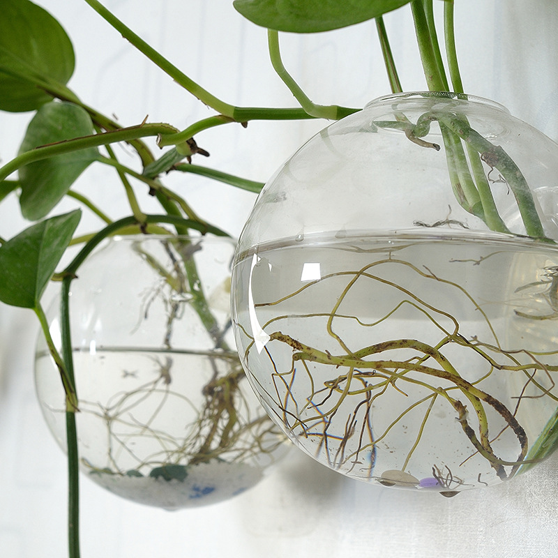 壁掛けアクリル水槽プレキシガラス水槽花瓶フラワーオーナメント - Aquarium Planted Wall のレビューと価格