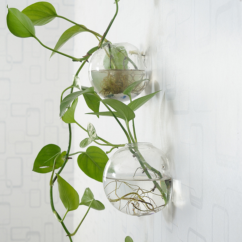 壁掛けアクリル水槽プレキシガラス水槽花瓶フラワーオーナメント - Aquarium Planted Wall のレビューと価格