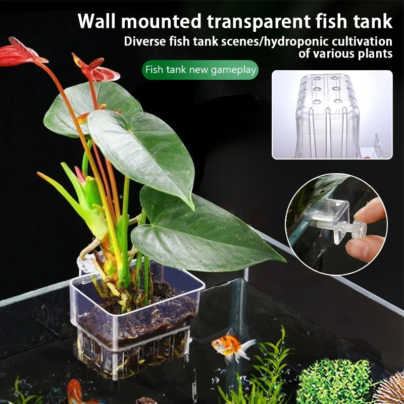 水槽吊り下げプランターカップ 壁掛け水生植物ホルダー 水槽プ - Aquarium Planted Wall のレビューと価格