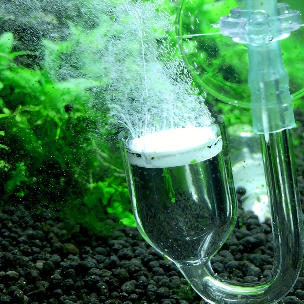 水族館用のCO2噴霧器とディフューザー,バブルカウンター,吸 - Aquarium Plant Nursery のレビューと価格