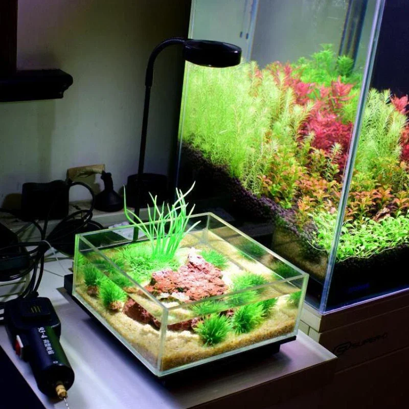 竹板付きミニLED水族館ライト、淡水植物水槽ライト、植物の成 - Planted Aquarium Freshwater のレビューと価格