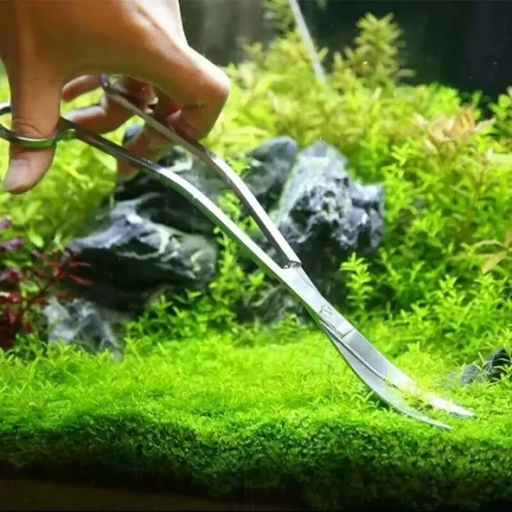 1個入り ステンレス製水槽用ハサミ 直線・曲線兼用 25cm - Planted Aquarium Tools のレビューと価格