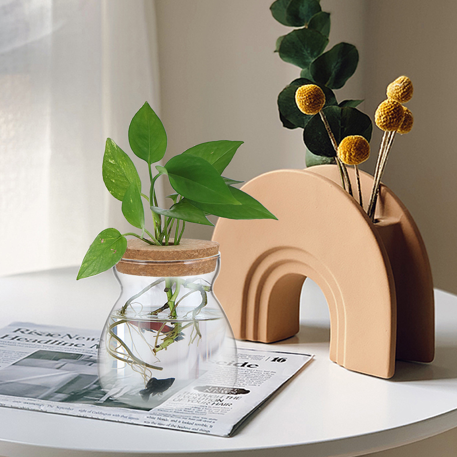 テラリウムジャー ガラス製テラリウム容器 Mサイズ エコシス - Planted Aquarium Jar のレビューと価格