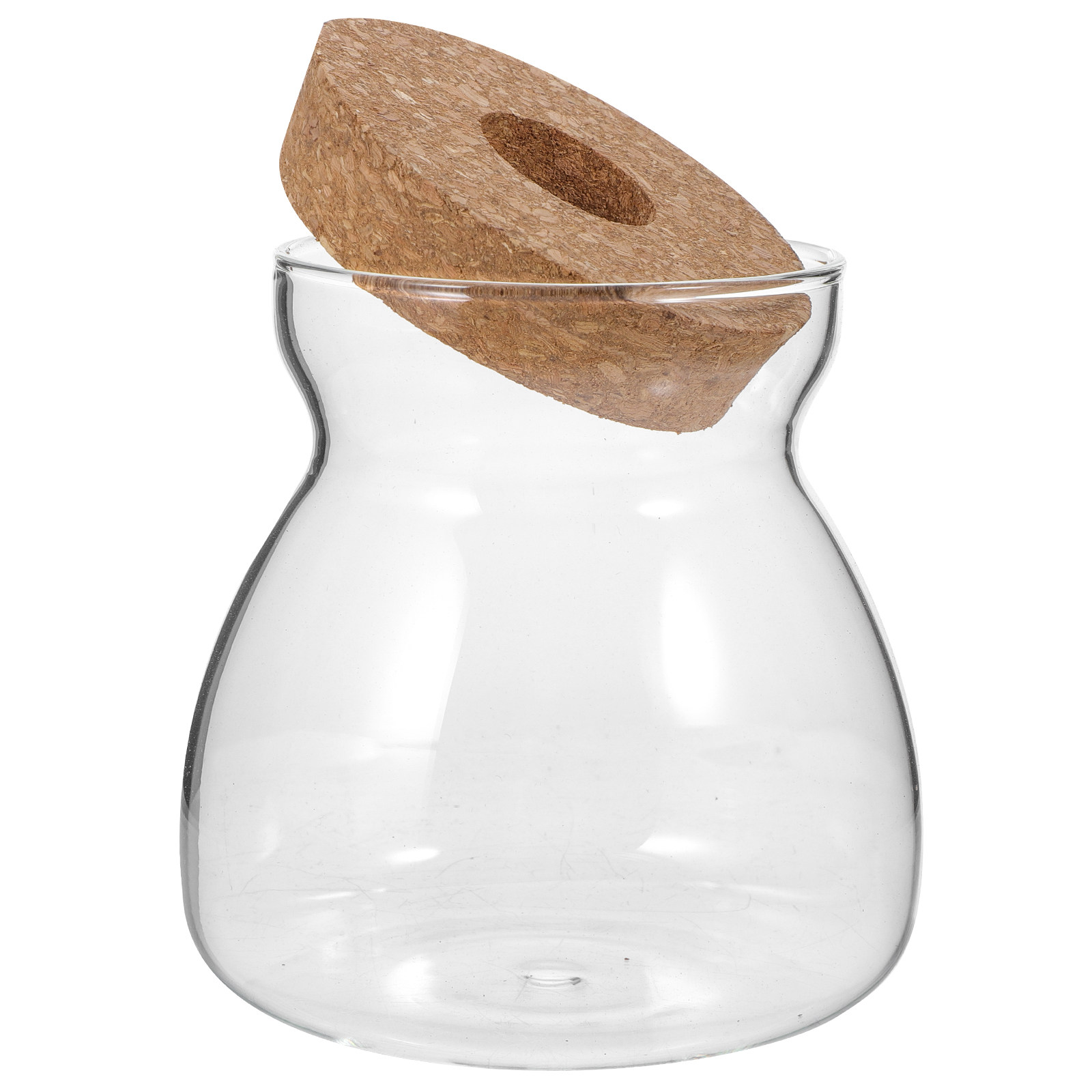 テラリウムジャー ガラス製テラリウム容器 Mサイズ エコシス - Planted Aquarium Jar のレビューと価格