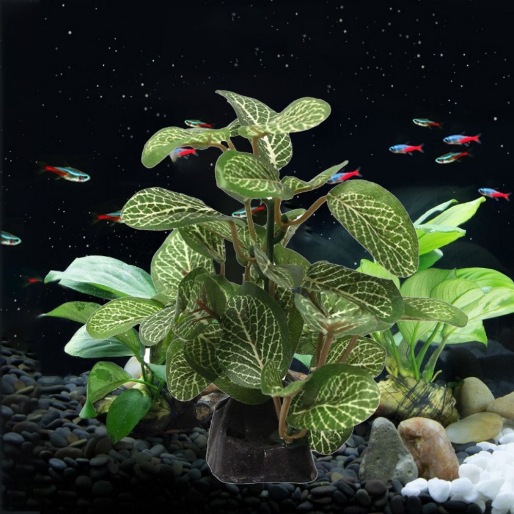 装飾シルク現実的な水中水槽の装飾アオウミガメ瓶飾り水族館植物 - Planted Aquarium Jar のレビューと価格