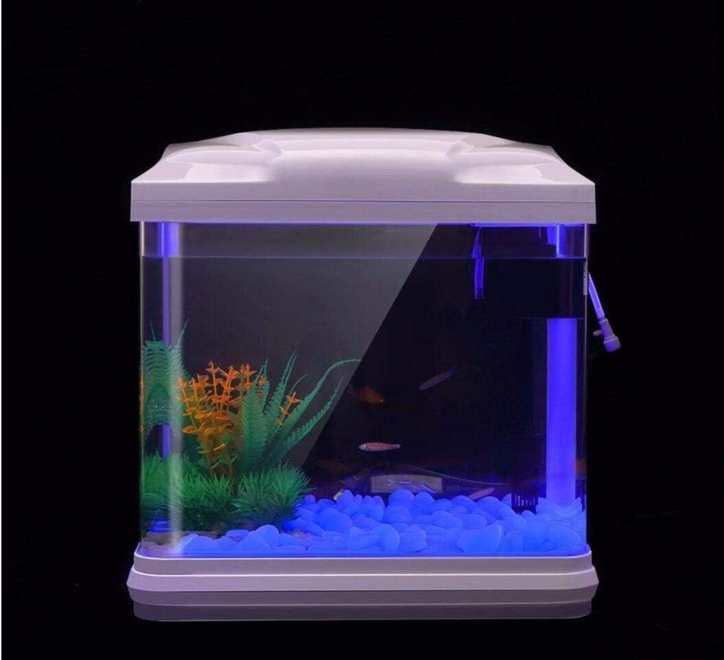 水槽岩グローブルー小石庭用水槽水族館植木鉢盆栽歩道私道 - Aquarium Plant Nursery のレビューと価格