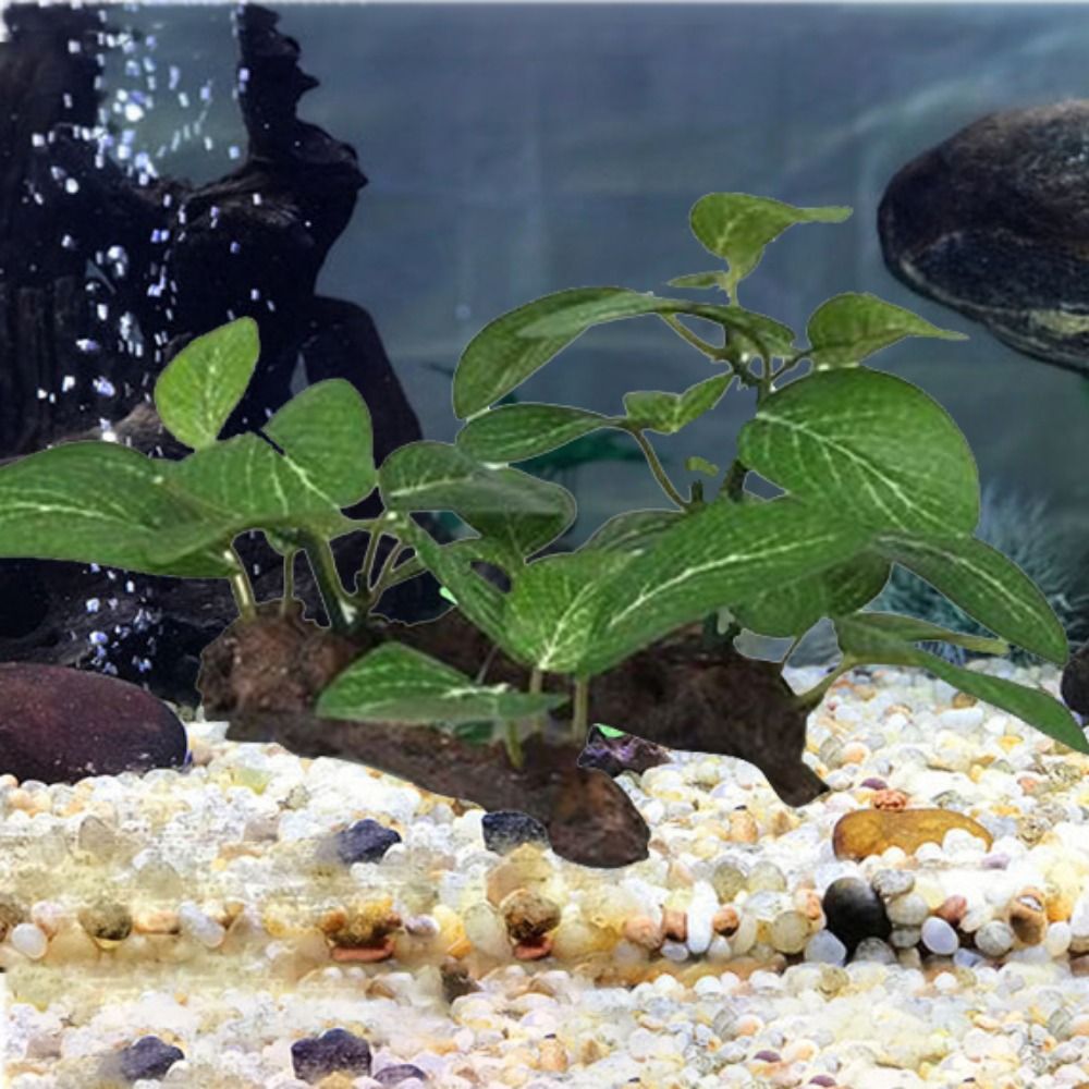 シルクプラスチックグリーン水槽の装飾用リアルなフェイクカメ瓶 - Planted Aquarium Jar のレビューと価格