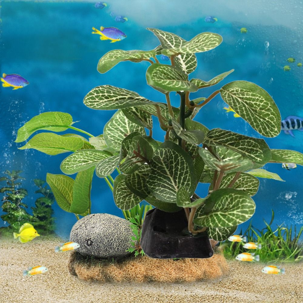 シルクプラスチックグリーン水槽の装飾用リアルなフェイクカメ瓶 - Planted Aquarium Jar のレビューと価格