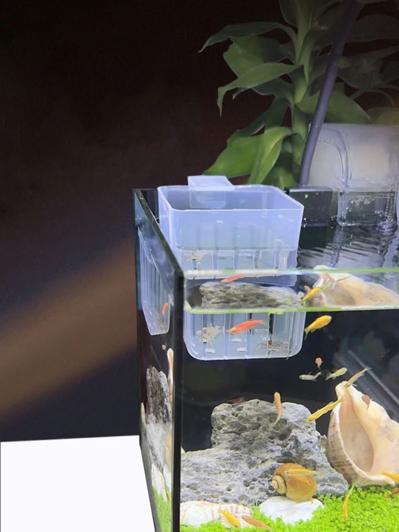 水槽用透明水耕栽培バスケット 壁掛け式上陸植物スタンド -  - Aquarium Planted Wall のレビューと価格