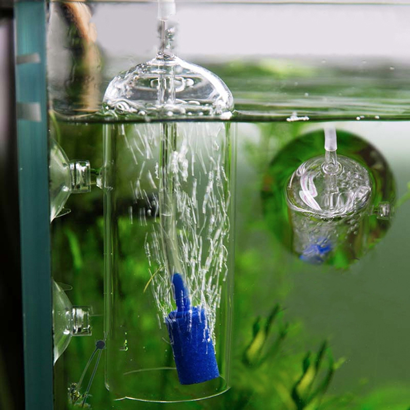 水族館用シリンダーシェイプエアストーン、ミネラルバブル、リリ - Aquarium Lily Pipe のレビューと価格