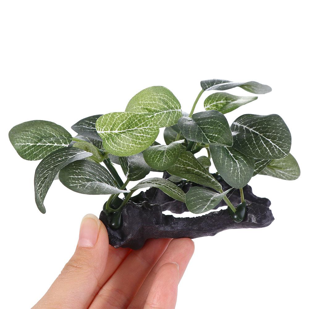 水槽装飾用シルク模造品、リアルな水中人工植物、フィカスツリー - Planted Aquarium Jar のレビューと価格